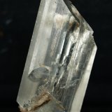 Yeso
5 x 2 cm
(Autor: Pedro Antonio)