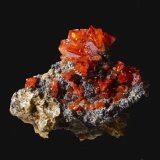 Wulfenita
4,3 x 3,7 cm.
(Autor: Xavier bordas)