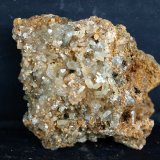 Celestina
7 x 5.5 cm
(Autor: Pedro Antonio)