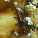 Rutilo
Cristal 1´3cm.
(Autor: Nieves)