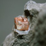 Pirita
0,4 x 0,3 cm (cristal)
(Autor: Frederic Varela)