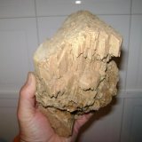 Ortoclasa (variedad adularia)
19 x 13 x 10 cm.
(Autor: P. apita)