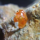 Wulfenita
Cristal 1cm.
(Autor: Nieves)