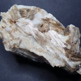 Tremolita
7,5 x 4 x 3 cm
(Autor: Frederic Varela)