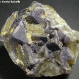 Fluorita
10 x 8 x 7 cm.
(Autor: Frederic Varela)