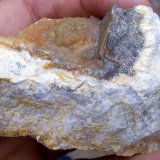 Cuarzo (variedad calcedonia)
6 x 4 cm
(Autor: Cristalino)