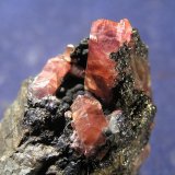 Rodocrosita
5,5 x 4 x 2,5 (pieza).  Cristal mayor 1,5 cm
(Autor: Frederic Varela)