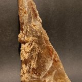 Yeso
18 x 8 x 6 cm
(Autor: Frederic Varela)