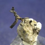 Plata
2 x 1,5 x 1 cm
(Autor: Frederic Varela)