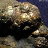 Pirita
Encuadre 4,5 x 3 cm.
(Autor: Frederic Varela)