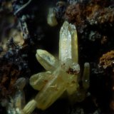 Mimetita
1 mm (cristal mayor)
(Autor: Frederic Varela)