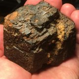 Andradita (variedad granate melanito)
San Antonio Mine, Cehegín, Comarca Noroeste, Region of Murcia (Murcia), Spain
8 x 8 cm
(Autor: Matias Raja)