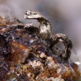 Plata
4 x 1,5 mm
(Autor: Jorgina-Agusti-Màrius)
