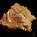 Yeso
3,7 x 3,7 cm
(Autor: angel picazo monroy)