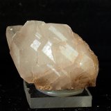 Celestina
4 x 2.5 cm
(Autor: Pedro Antonio)