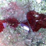 Cinabrio
Cristal de 3 mm.
(Autor: Antonio P. López)