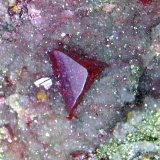 Cinabrio
Cristal de 3 mm.
(Autor: Antonio P. López)