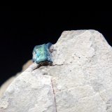 Digenita
Cristal de 5 mm.
(Autor: Antonio P. López)