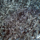 Estibina
Campo de visión 1 cm.
(Autor: Antonio P. López)