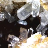 Celestina
Cristal más grande 3 x 1´5 mm.
(Autor: Jesus Franquesa Baucells)