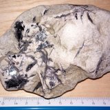 Hematites (variedad especularita "mica de hierro")
120 x 70 x 35 mm
(Autor: José María Tortajada)