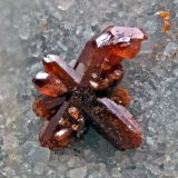 Vanadinita
FOV 3mm
(Autor: Carlos Pareja)
