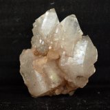 Celestina
4.5 x 3.5 cm
(Autor: Pedro Antonio)