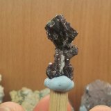 Elbaita (variedad verdelita) (Grupo Turmalina), Cuarzo y Lepidolita
30mm - 15mm - 15mm
(Autor: Pedro Naranjo)