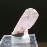 Espodumena (variedad kunzita)
37mm - 10mm - 15mm
(Autor: Pedro Naranjo)