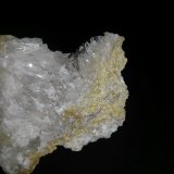 Celestina
7 cm. ancho de campo
(Autor: Alvaro2121)
