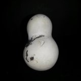 Ópalo (variedad menilito)
4 x 2'5 cm.
(Autor: Alvaro2121)