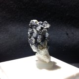 Nickelskutterudita
2cm x 1cm
(Autor: srm13151)