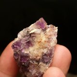 Fluorita
4,5 cm x 3 cm
(Autor: Iwok)