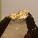 Cuarzo (variedad ahumado)
4cm x 6.3 cm
(Autor: Iwok)