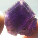 Fluorita
2.5 cm x 2.5 cm
(Autor: Iwok)
