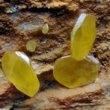 Wulfenita
FOV 2.5mm
(Autor: Carlos Pareja)