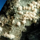 Crandallita pseudomórfica de Fluellita
Pieza de 5.5x4cm. Cristales hasta 4mm
(Autor: DAni)