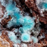 Aurichalcita (Auricalcita)
(Autor: ramon ro)