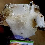 Yeso
6-6cm
(Autor: ramon ro)