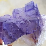 Fluorita
6,5 - 5 cm
(Autor: ramon ro)
