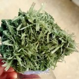 Yeso
8 - 7 cm
(Autor: ramon ro)