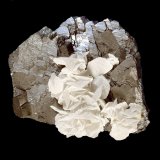 Arsenopirita con Calcita
7 x 7 cm.
(Autor: Antonio P. López)