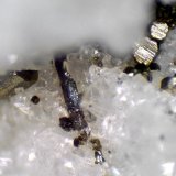 Baumhauerita, Pirita
Cantera Lengenbach, Fäld, Valle Binn (Binntal), Wallis (Valais), Suiza
Campo de visión 6 mm.
(Autor: Antonio P. López)