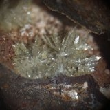 Montgomeryita
CV 4x3 mm
(Autor: Joan Niella)