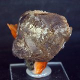 Cerusita
3.5 x 4 cm
(Autor: Pedro Antonio)