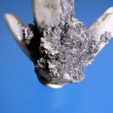 Jamesonita en Cuarzo
Cristales de <1 cm.
(Autor: Antonio P. López)