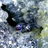 Pirargirita
Cristal de 3 mm.
(Autor: Antonio P. López)
