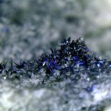 Cannizzarita
Campo de visión 5 mm.
(Autor: Antonio P. López)
