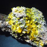 Wulfenita
80x70 mm.
(Autor: Jesus Franquesa Baucells)