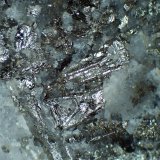 Sylvanita, Cuarzo
Campo de visión 1,5 cm.
(Autor: Antonio P. López)